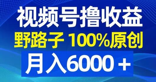 视频号野路子撸收益，100%原创，条条爆款，月入6000＋-虫2小屋