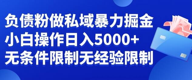 负债粉私域暴力掘金，小白操作入5000，无经验限制，无条件限制-虫2小屋