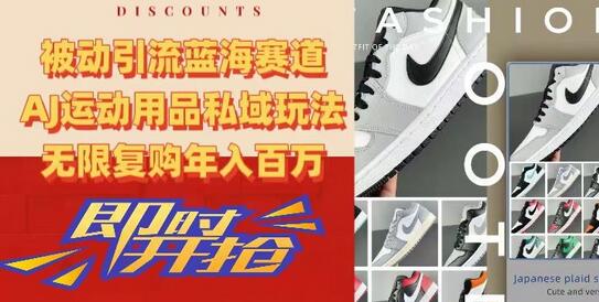 被动引流蓝海赛道，AJ运动用品私域玩法，无限复购年入百万-虫2小屋