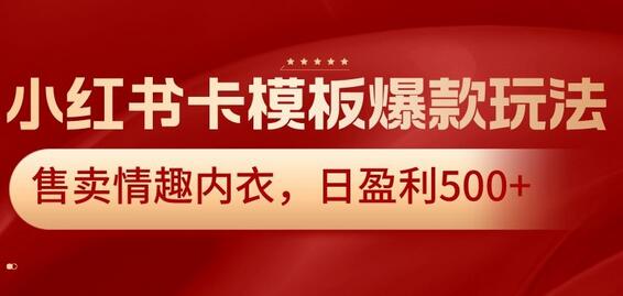 小红书卡模板爆款玩法，售卖情趣内衣，日盈利500+-虫2小屋