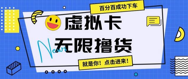 虚拟卡无限撸货，百分百成功下车-虫2小屋