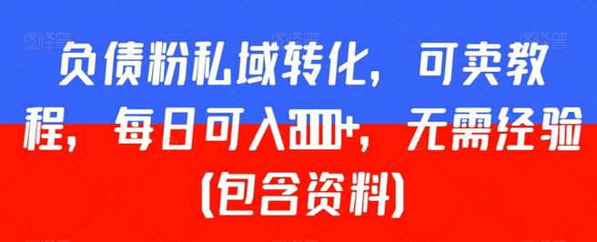 负债粉私域转化，可卖教程，每日可入2000+，无需经验（包含资料）-虫2小屋