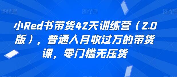 小Red书带货42天训练营（2.0版），普通人月收过万的带货课，零门槛无压货-虫2小屋