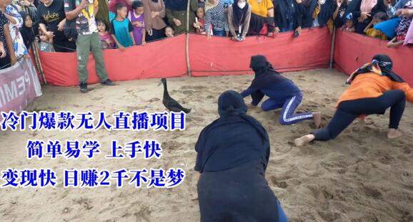 冷门爆款无人直播项目，简单易学上手快，变现快日赚2千不是梦-虫2小屋
