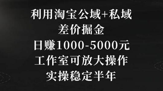 利用淘宝公域+私域差价掘金，日赚1000-5000元，工作室可放大操作，实操稳定半年-虫2小屋
