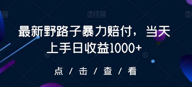 最新野路子暴力赔付，当天上手日收益1000+-虫2小屋