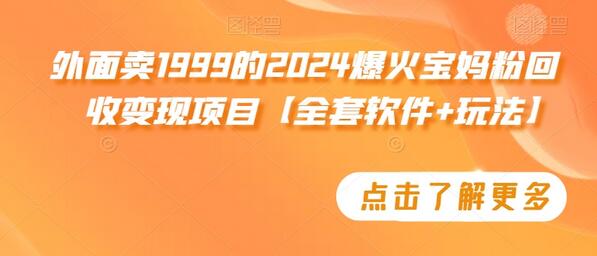 外面卖1999的2024爆火宝妈粉回收变现项目【全套软件+玩法】-虫2小屋