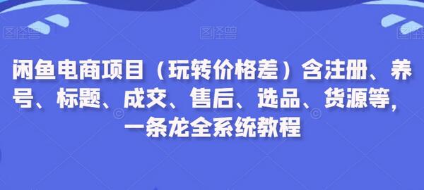 闲鱼电商项目（玩转价格差）含注册、养号、标题、成交、售后、选品、货源等，一条龙全系统教程-虫二网创