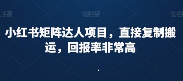 小红书矩阵达人项目，直接复制搬运，回报率非常高-虫2小屋