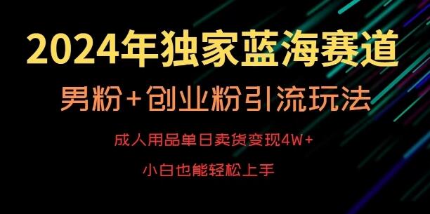 2024年独家蓝海赛道，成人用品单日卖货变现4W+，男粉+创业粉引流玩法，不愁搞不到流量-虫2小屋