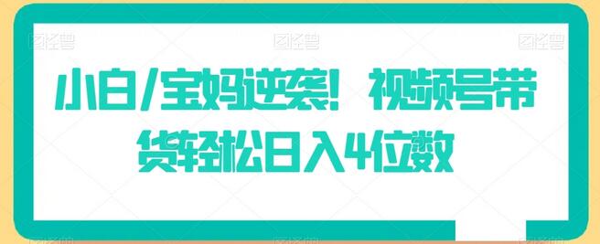 小白/宝妈逆袭！视频号带货轻松日入4位数-虫2小屋