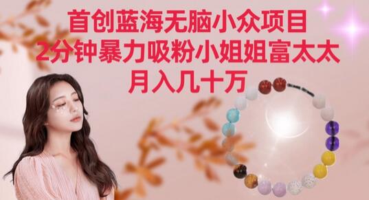 首创蓝海无脑小众项目，2分钟暴力吸粉小姐姐富太太，月入几十万-虫2小屋