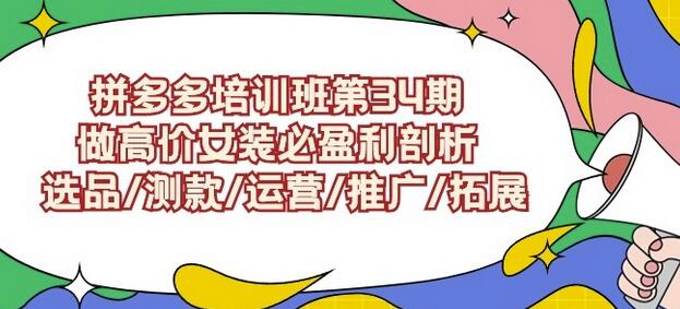 拼多多培训班第34期：做高价女装必盈利剖析选品/测款/运营/推广/拓展-虫2小屋