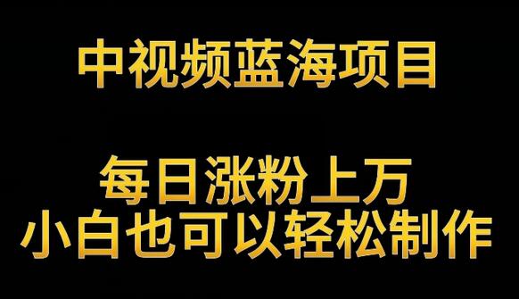 中视频蓝海项目，解读英雄人物生平，每日涨粉上万，小白也可以轻松制作，月入过万不是梦-虫2小屋