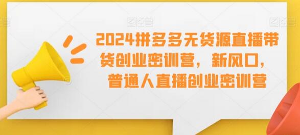 2024拼多多无货源直播带货创业密训营，新风口，普通人直播创业密训营-虫2小屋