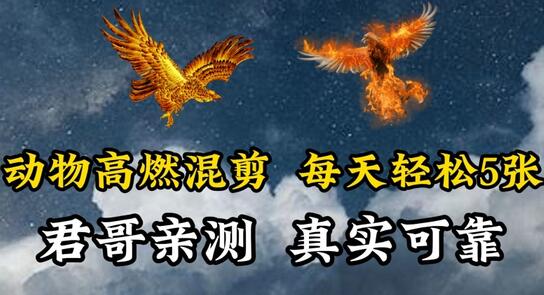 动物超燃混剪，每天轻松5张，剪辑简单大家爱看-虫2小屋