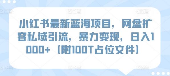 小红书最新蓝海项目，网盘扩容私域引流，暴力变现，日入1000+（附100T占位文件）-虫2小屋