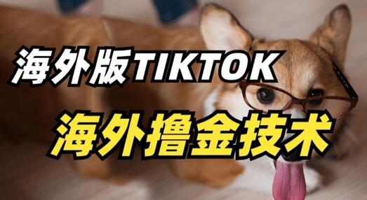 抖音海外版tiktok撸金技术，这个风口行业，赚钱真的不难-虫2小屋