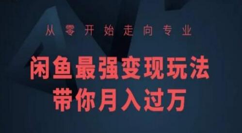 从零开始走向专业，闲鱼最强变现玩法带你月入过万-虫2小屋