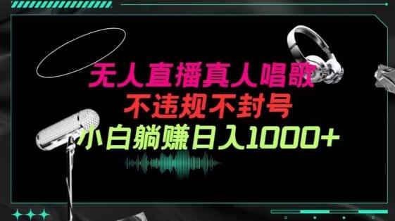抖音24小时无人直播音乐，不违规，不封号纯撸音浪，小白实操当天日入1000+-虫2小屋
