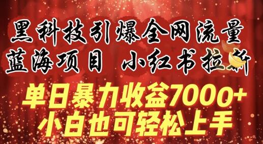 蓝海项目!黑科技引爆全网流量小红书拉新，单日暴力收益7000+，小白也能轻松上手-虫2小屋