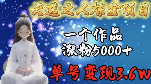 天选之人炼金项目，一个作品涨粉5000+，单号变现3.6w-虫2小屋