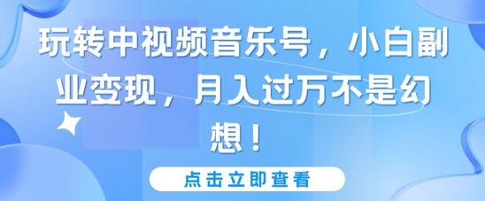 玩转中视频音乐号，小白副业变现，月入过万不是幻想-虫2小屋