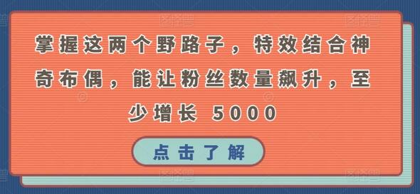 掌握这两个野路子，特效结合神奇布偶，能让粉丝数量飙升，至少增长 5000-虫2小屋