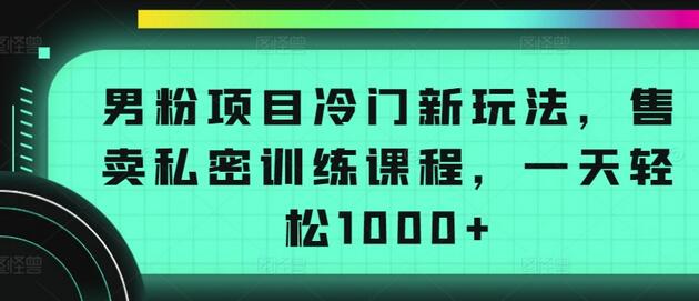 男粉项目冷门新玩法，售卖私密训练课程，一天轻松1000+-虫2小屋