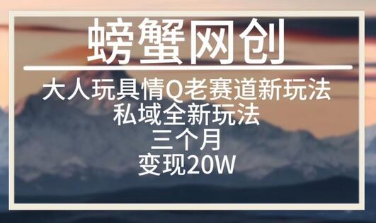 大人玩具情Q用品赛道私域全新玩法，三个月变现20W，老项目新思路-虫2小屋