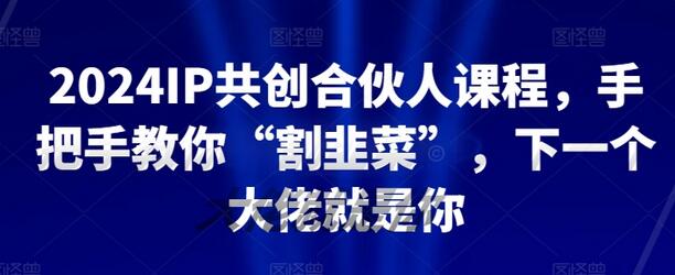 2024IP共创合伙人课程，手把手教你“割韭菜”，下一个大佬就是你-虫2小屋
