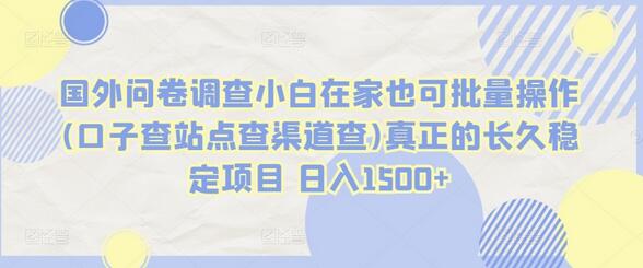 国外问卷调查小白在家也可批量操作(口子查站点查渠道查)真正的长久稳定项目 日入1500+-虫2小屋