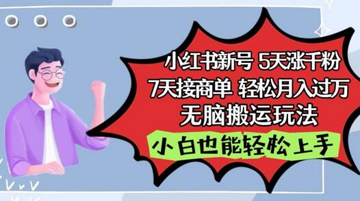 小红书影视泥巴追剧5天涨千粉，7天接商单，轻松月入过万，无脑搬运玩法-虫2站点