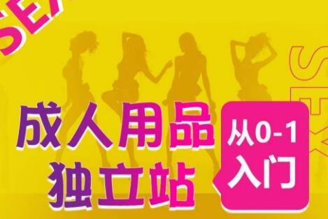 成人用品独立站从0-1入门，成品独立站运营全流程教学，七大好卖成品独立站推荐-虫2小屋
