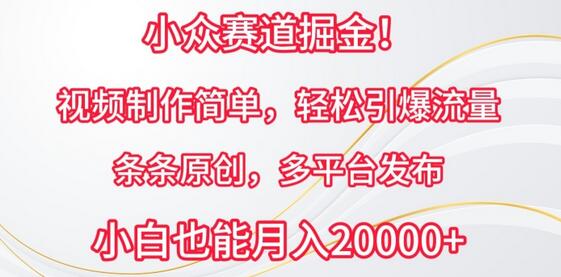小众赛道掘金，视频制作简单，轻松引爆流量，条条原创，多平台发布-虫2小屋