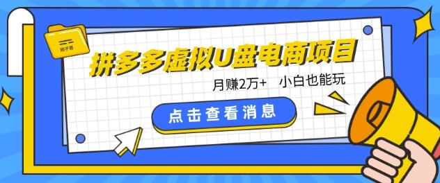 拼多多虚拟U盘电商红利项目：月赚2万+，新手小白也能玩-虫2小屋