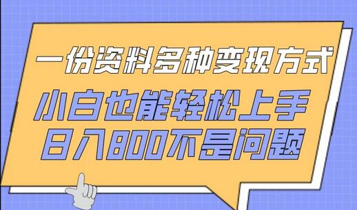 一份资料多种变现方式，小白也能轻松上手，日入800不是问题-虫2小屋