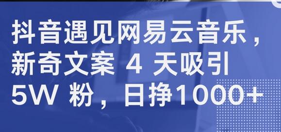 抖音遇见网易云音乐，新奇文案 4 天吸引 5W 粉，日挣1000+-虫2小屋