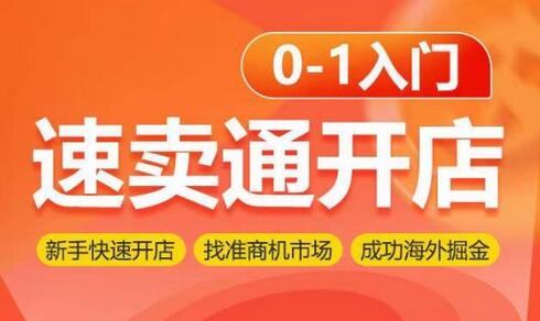速卖通开店0-1入门，新手快速开店 找准商机市场 成功海外掘金-虫2小屋