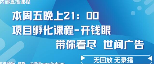 4.26日内部回放课程《项目孵化-开钱眼》赚钱的底层逻辑-虫2小屋