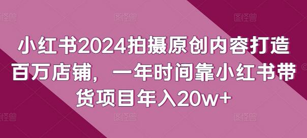 小红书2024拍摄原创内容打造百万店铺，一年时间靠小红书带货项目年入20w+-虫2小屋