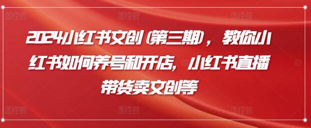 2024小红书文创(第三期)，教你小红书如何养号和开店，小红书直播带货卖文创等-虫2小屋