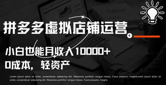拼多多虚拟店铺运营小白也能月收入10000+-虫2小屋
