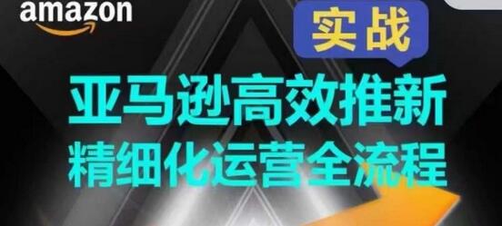 亚马逊高效推新精细化运营全流程，全方位、快速拉升产品排名和销量!-虫2小屋