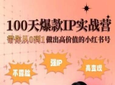 小红书100天爆款IP实战营，带你从0到1做出高价值的小红书号-虫2小屋