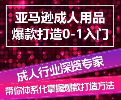 亚马逊成人用品爆款打造0-1入门，系统化讲解亚马逊成人用品爆款打造的流程-虫2小屋