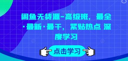 闲鱼无货源-高级班，最全·最新·最干，紧贴热点 深度学习-虫2小屋