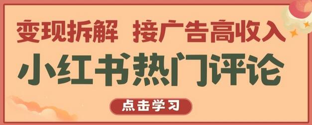 小红书热门评论，变现拆解，接广告高收入-虫2小屋