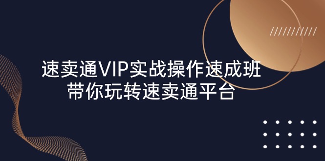 （10935期）速卖通 VIP实战操作-速成班，带你玩转速卖通平台（23节）-虫2小屋