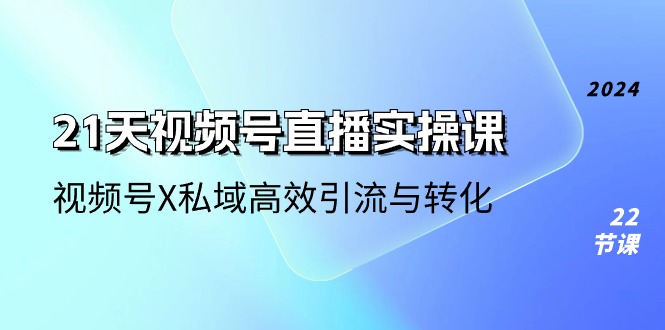 （10966期）21天-视频号直播实操课，视频号X私域高效引流与转化（22节课）-虫2小屋